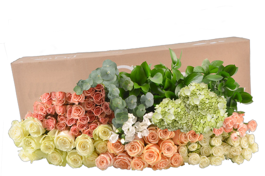 DIY STEMS