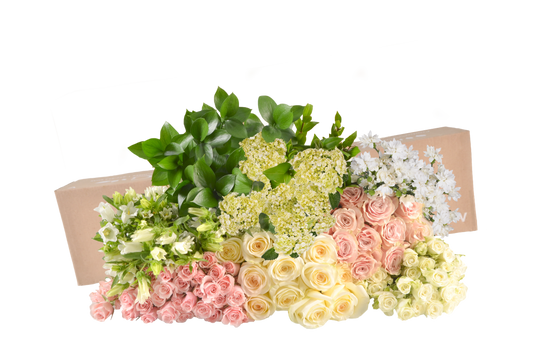 DIY STEMS