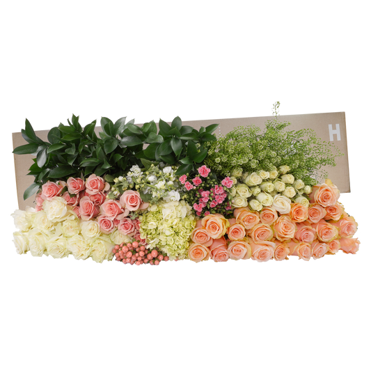 DIY STEMS