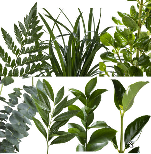 GREENS ASSORTED