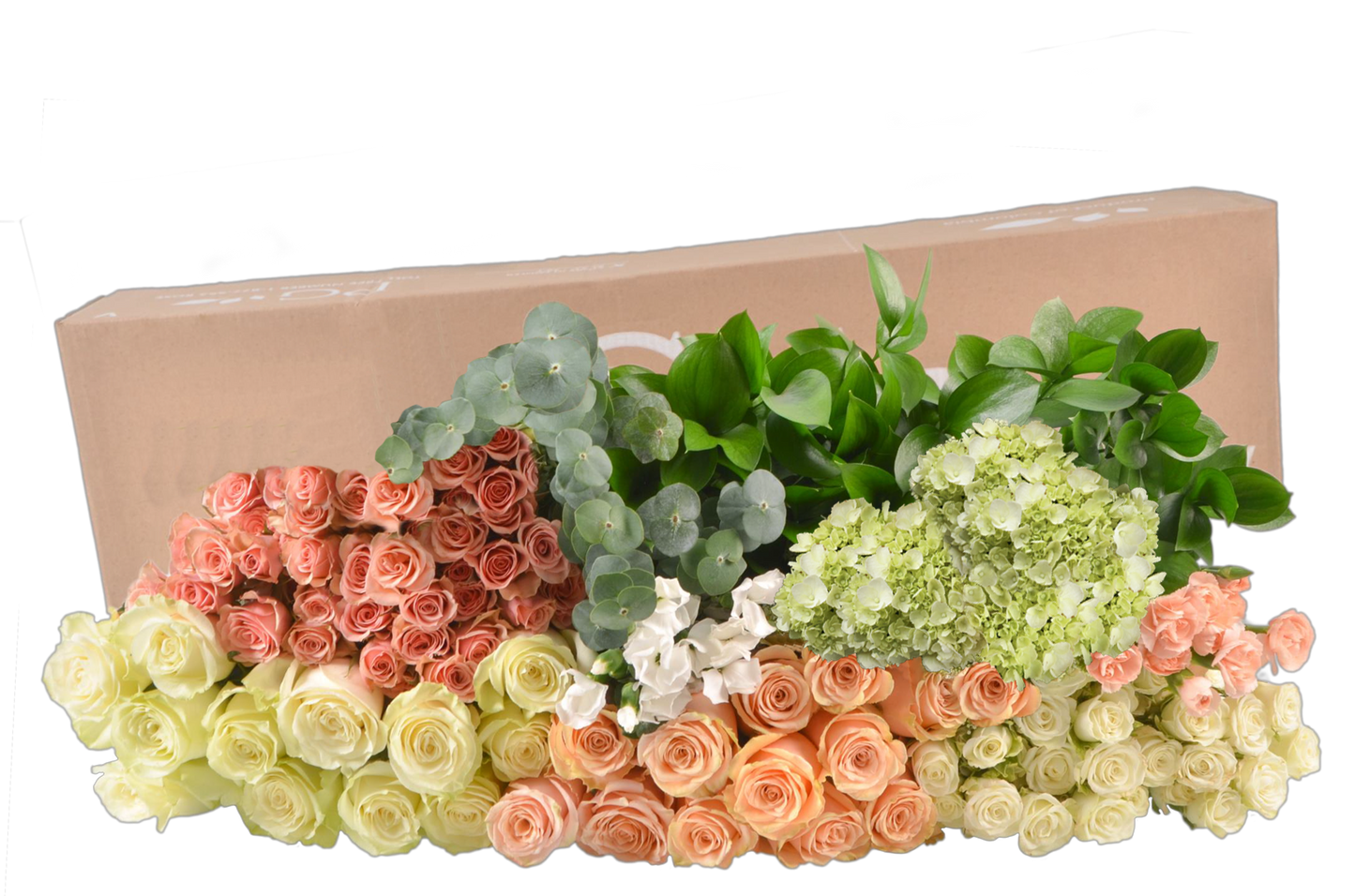 DIY STEMS