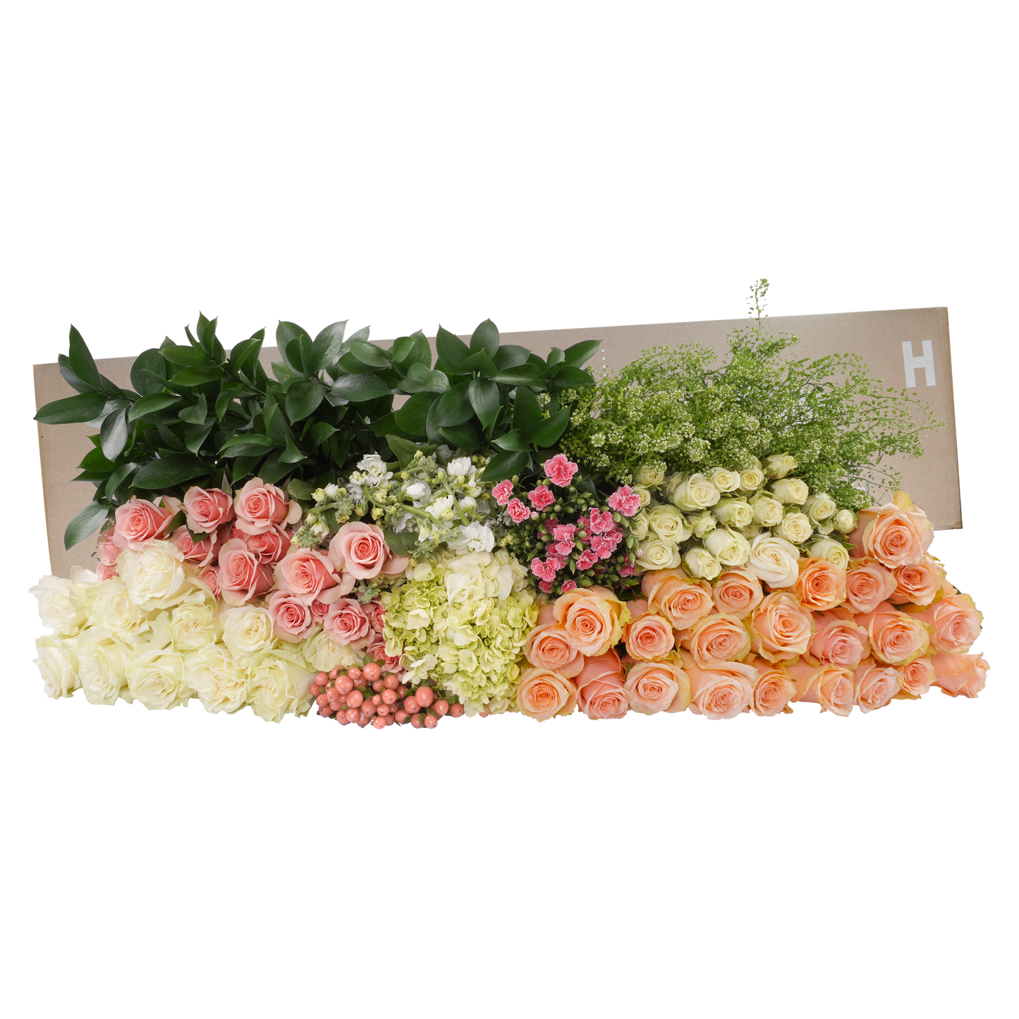 DIY STEMS