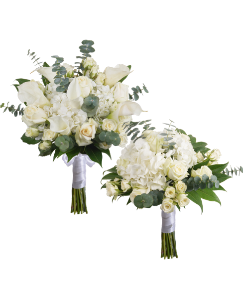 BRIDAL/BRIDESMAID COMBO