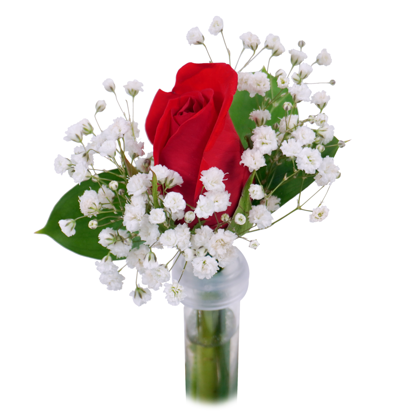 BOUTONNIERE - RED