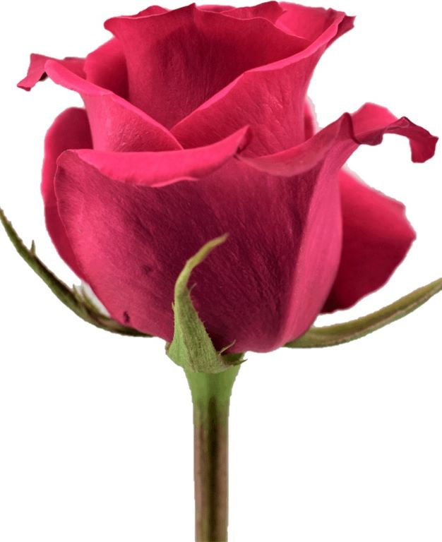 VIPINK